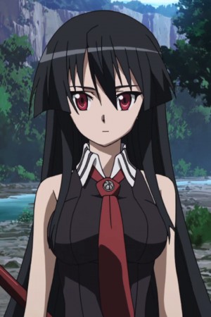 Character image for Akame