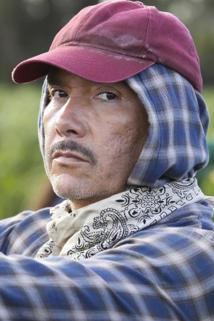 Character image for Luis Salazar