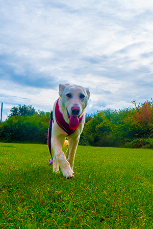 Character image for Self