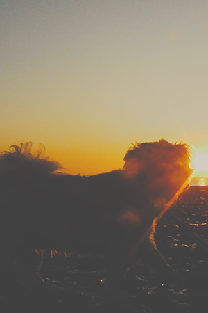 Character image for Herself