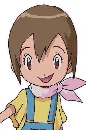 Character image for 八神ヒカリ / Hikari Yagami