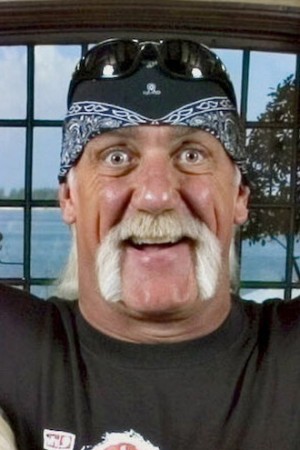 Terry Bollea