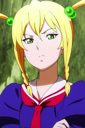 Character image for Kodama Himegami