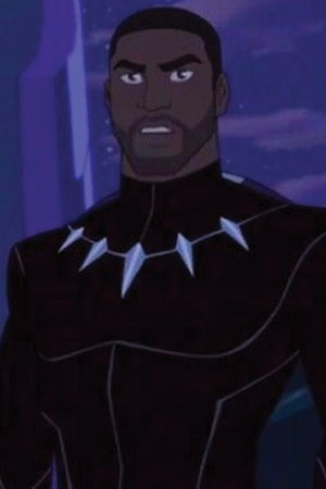 Character image for T'Challa / Black Panther 