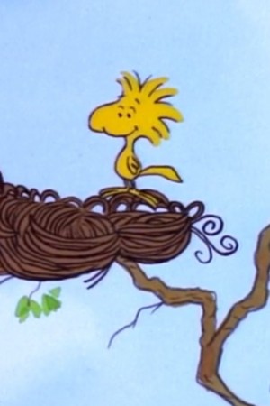 Character image for Woodstock