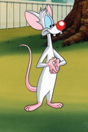 Character image for Pinky