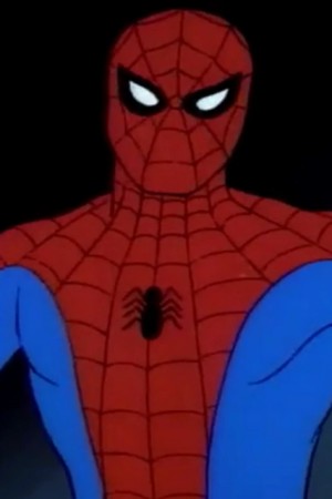 Character image for Peter Parker / Spider-Man