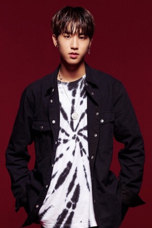 Character image for Han