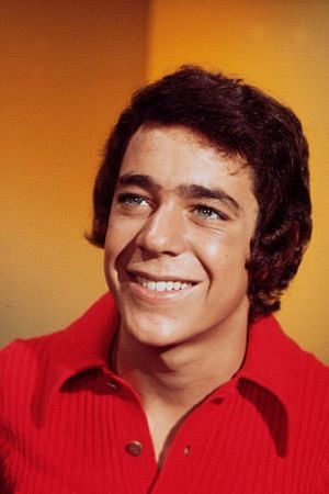 Character image for Greg Brady