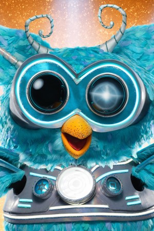 Billy Ray Cyrus as Owl on The Masked Singer (US)