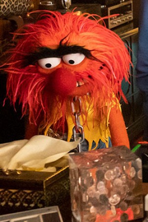 Character image for Animal