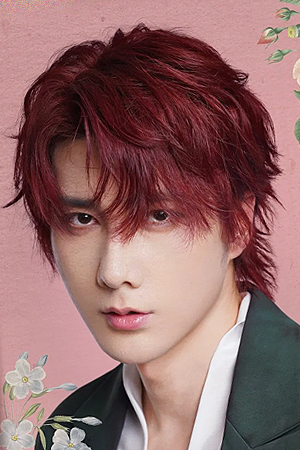 Character image for Jing Haisi