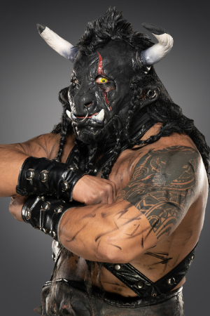 Character image for Black Taurus