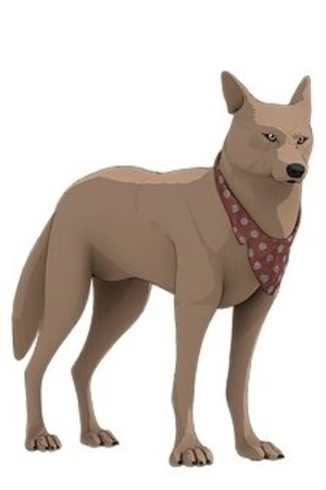 Character image for Takoda