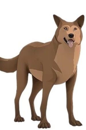 Character image for Ace