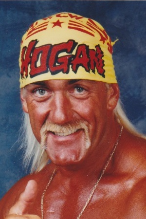 Character image for Hulk Hogan