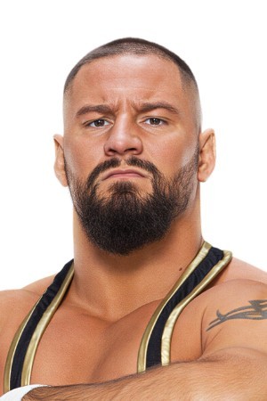 Character image for Bron Breakker