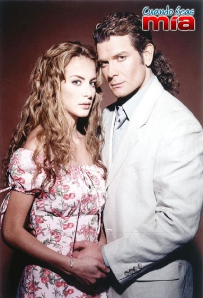 When You Are Mine series poster