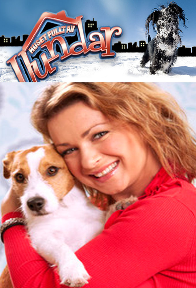 Huset fullt av hundar Image