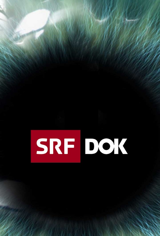 SRF Dok Image