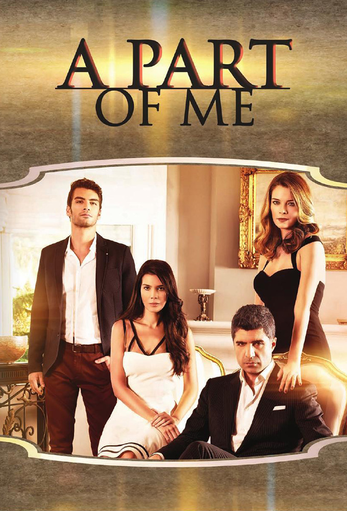A Part Of Me series poster