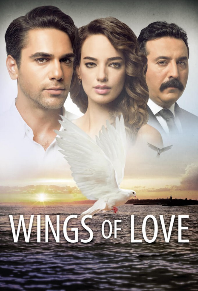 Wings of Love series poster
