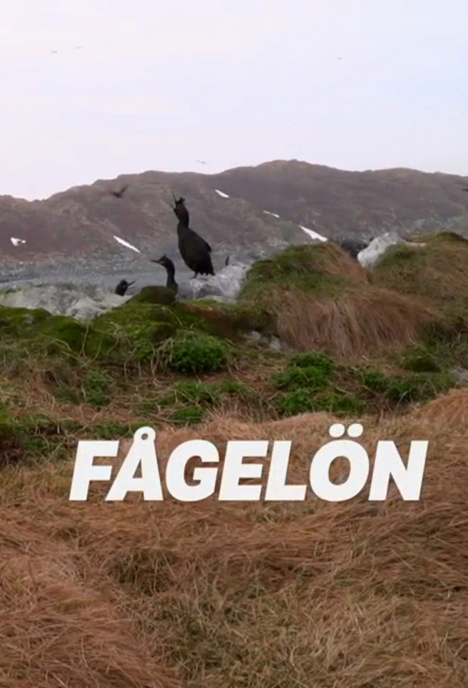 Fågelön series poster