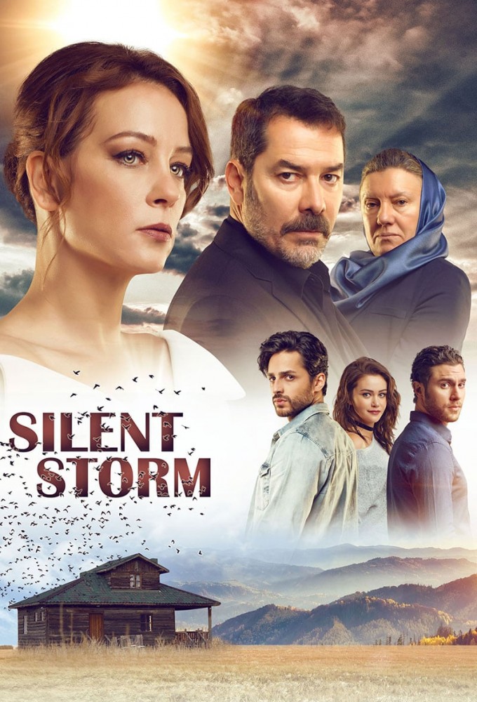 Silent Storm series poster