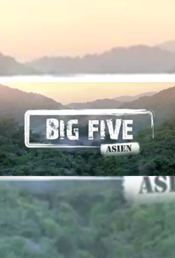 Big Five Asien Image