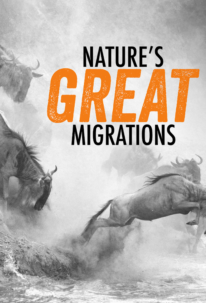 Nature's Great Migrations Image