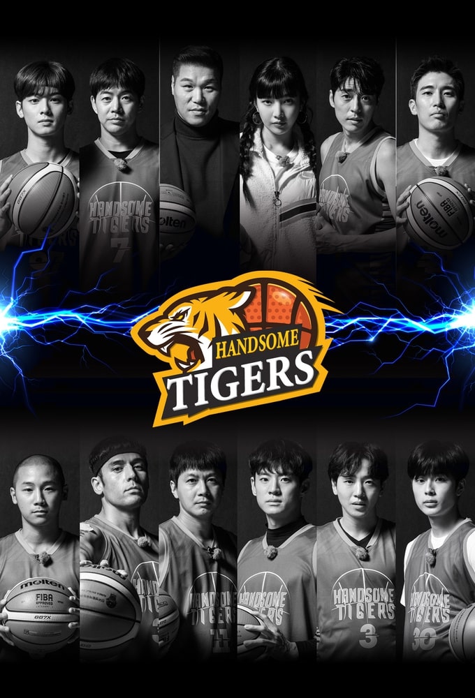 Handsome Tigers series poster