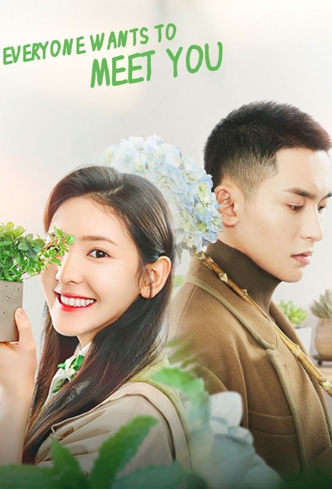 Everyone Wants To Meet You series poster