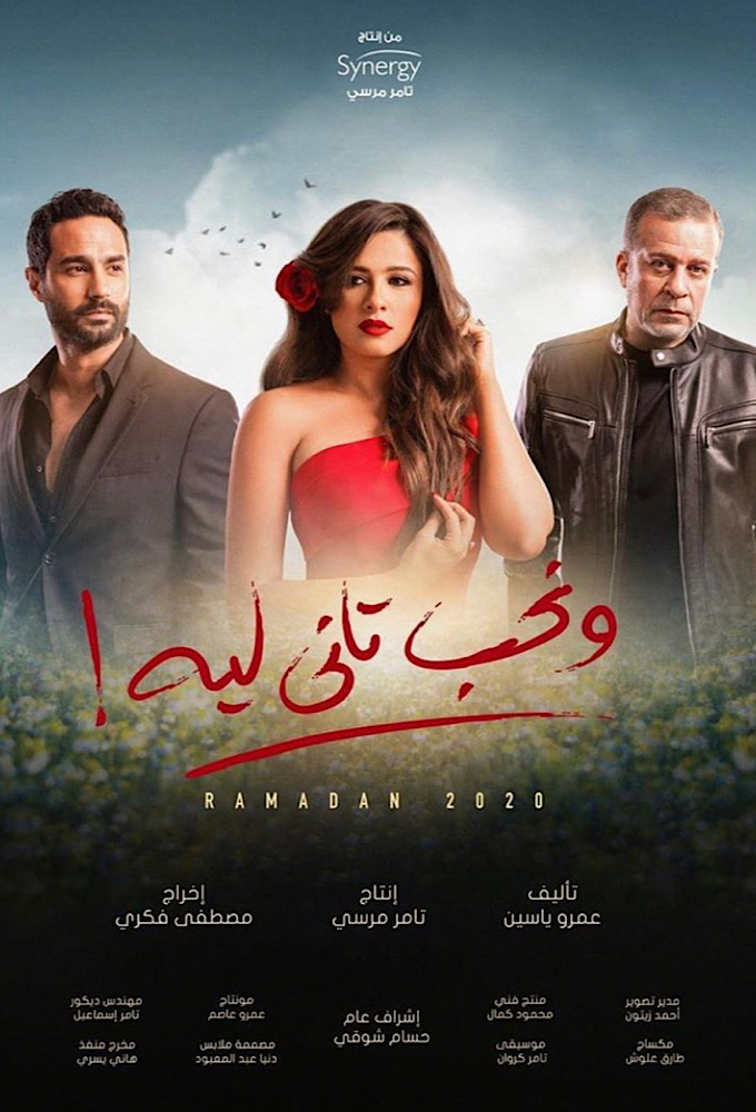 Why We Fall in Love Again? series poster