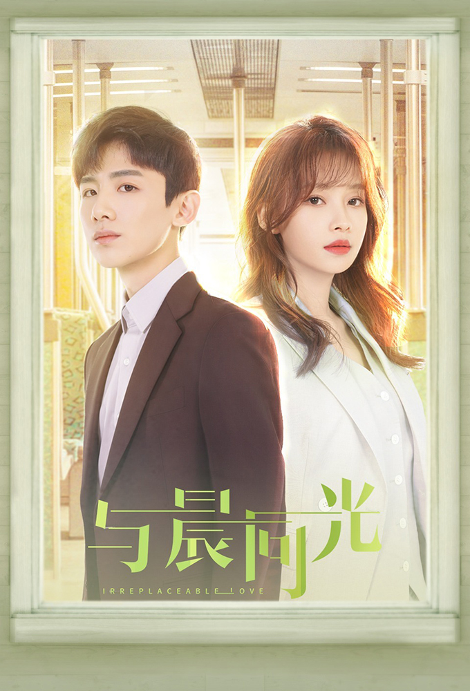 Irreplaceable Love series poster