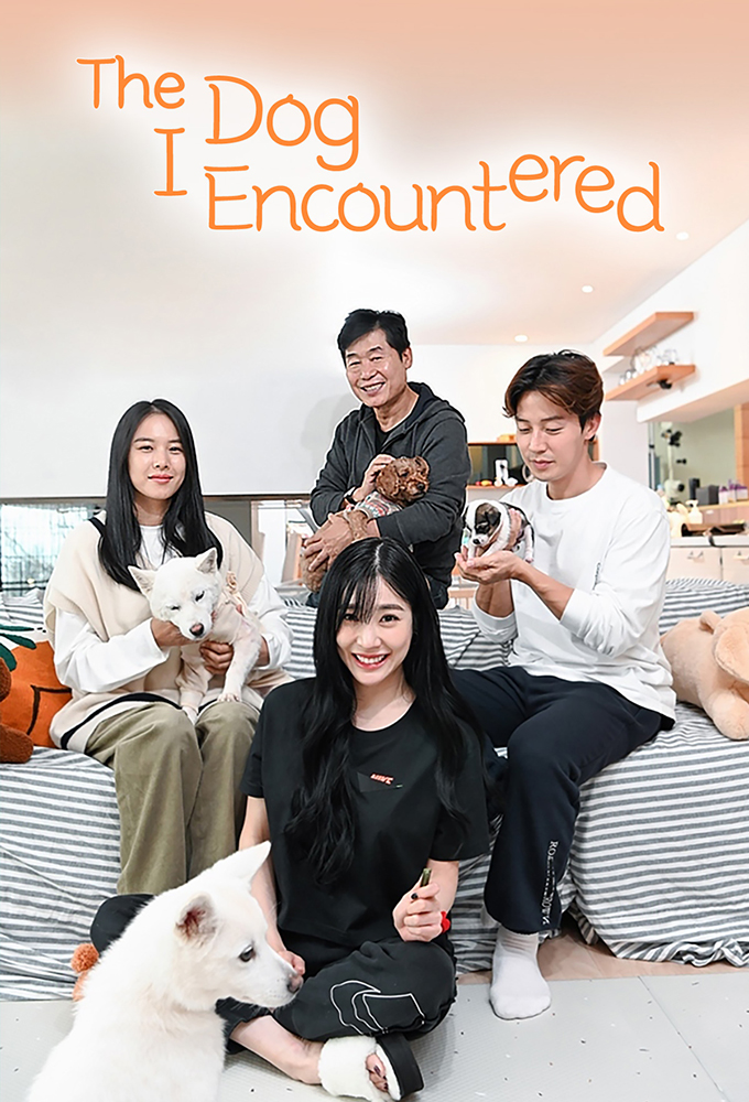 The Dog I Encountered series poster