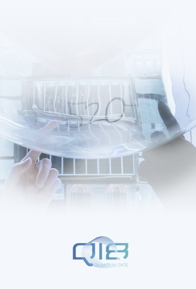 Q18 Quantum Dice Image