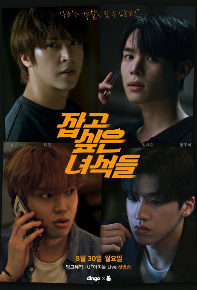 Wanted Guys series poster