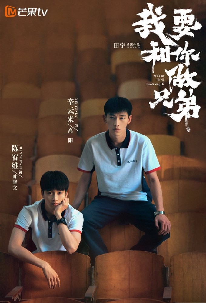 I Don't Want To Be Brothers With You series poster