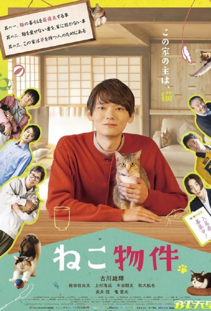 Cat Property series poster