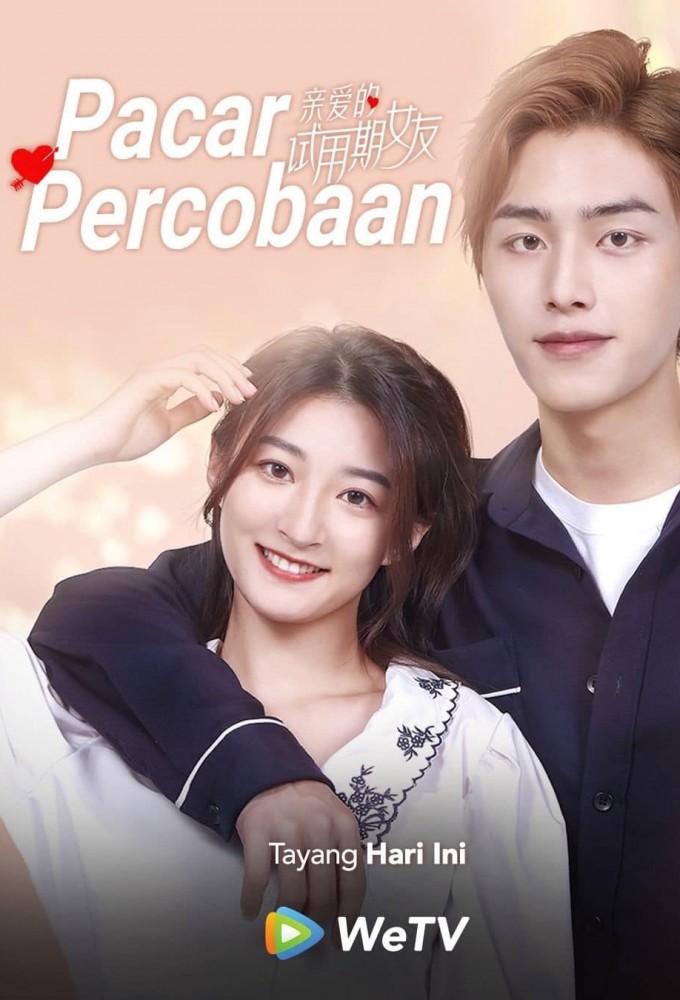 Dear Probationary Girlfriend series poster