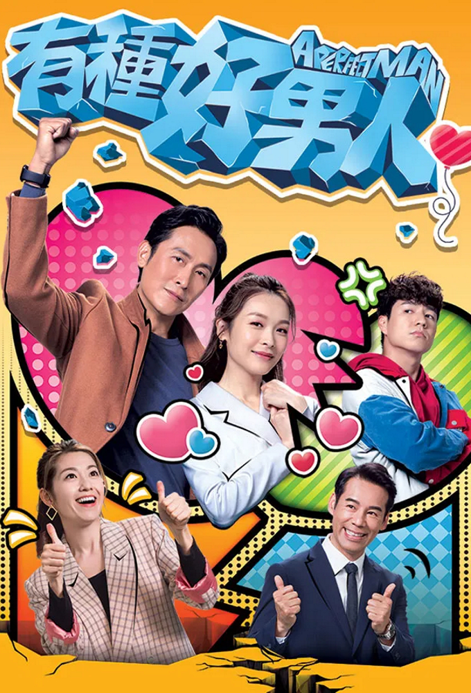 The Perfect Man series poster