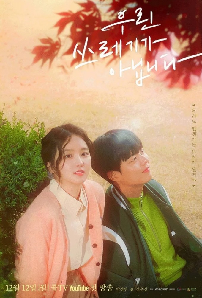 We're Not Trash series poster