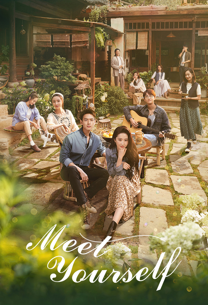 Meet Yourself series poster