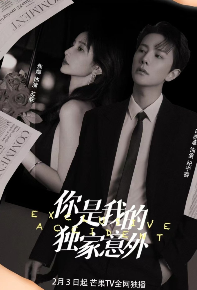 Executive Accident series poster