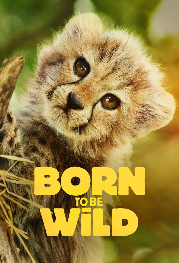 Born to be Wild (2025) Image