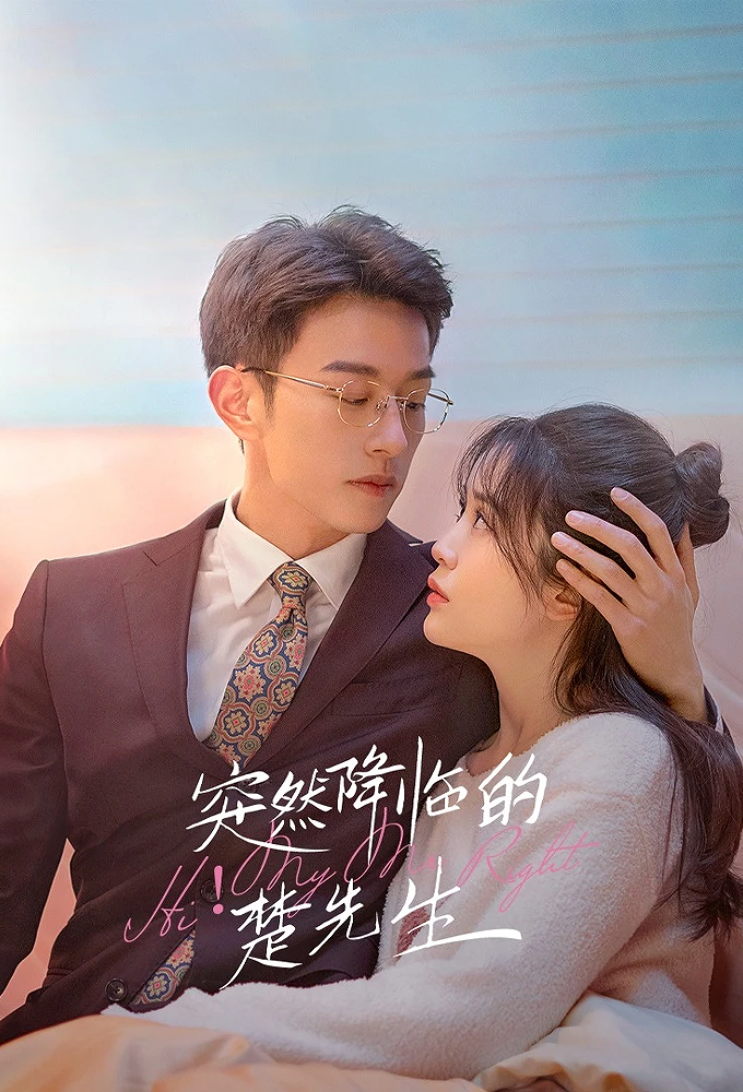 Hi! My Mr. Right series poster