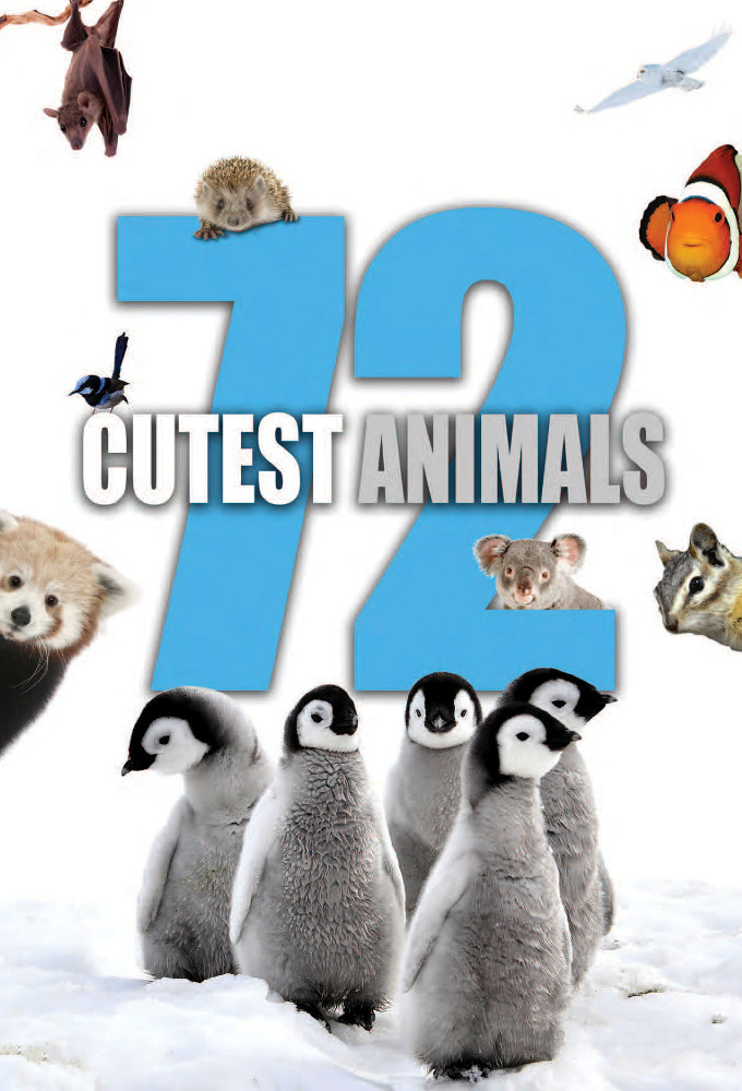 72 Cutest Animals series poster