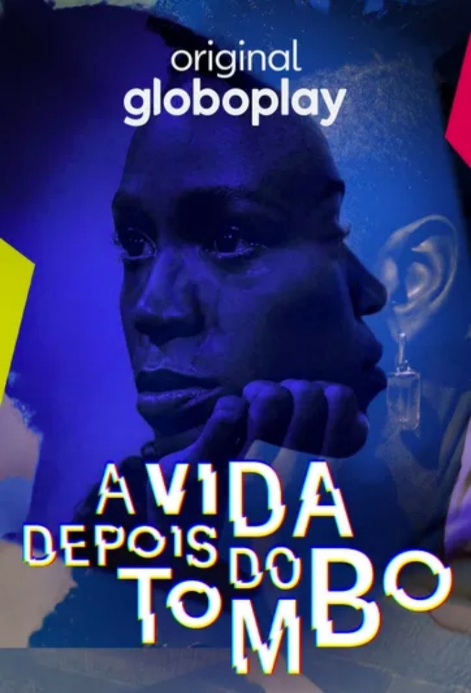 A Vida Depois do Tombo series poster