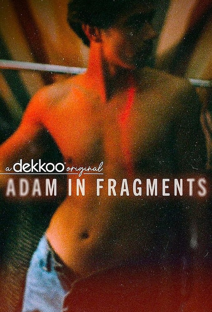 Adam in Fragments series poster