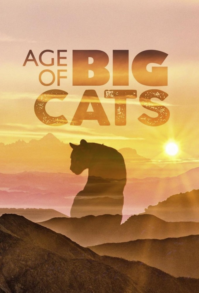 Age of Big Cats Image